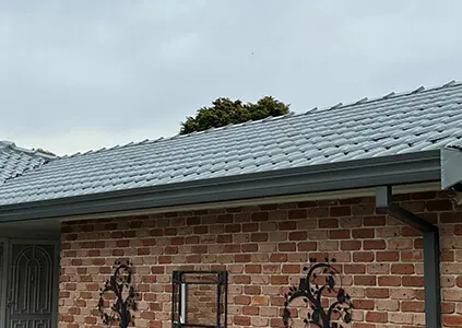 Roof Painting Sydney